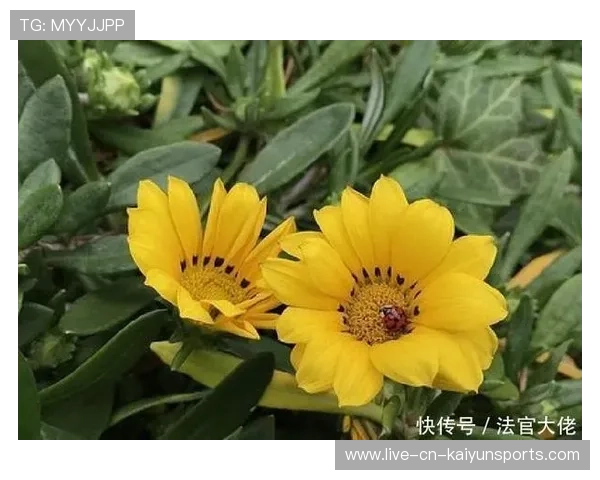 梁馨枰首谈人生感悟:旷野人生才是王道!